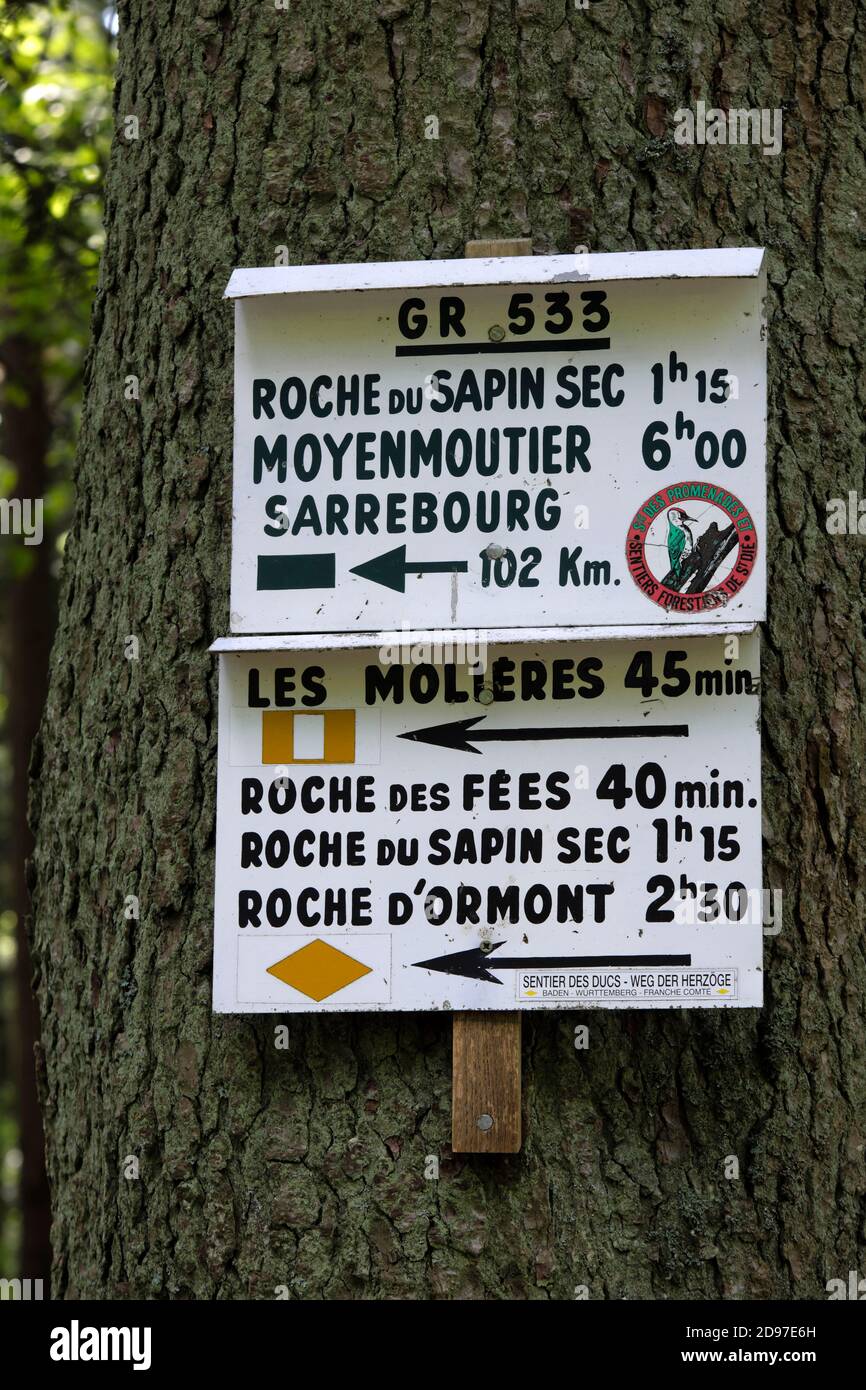 Señales en un árbol, Roche des Fees, Molieres, rutas de senderismo señalizadas, bosque, Pepiniere du Paradis, macizo de Ormont, Nayemont-les-Fosses, Vosgos, Francia Foto de stock