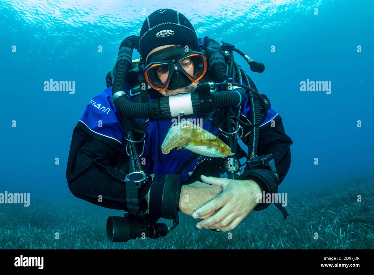 Buceador superficial fotografías e imágenes de alta resolución - Alamy