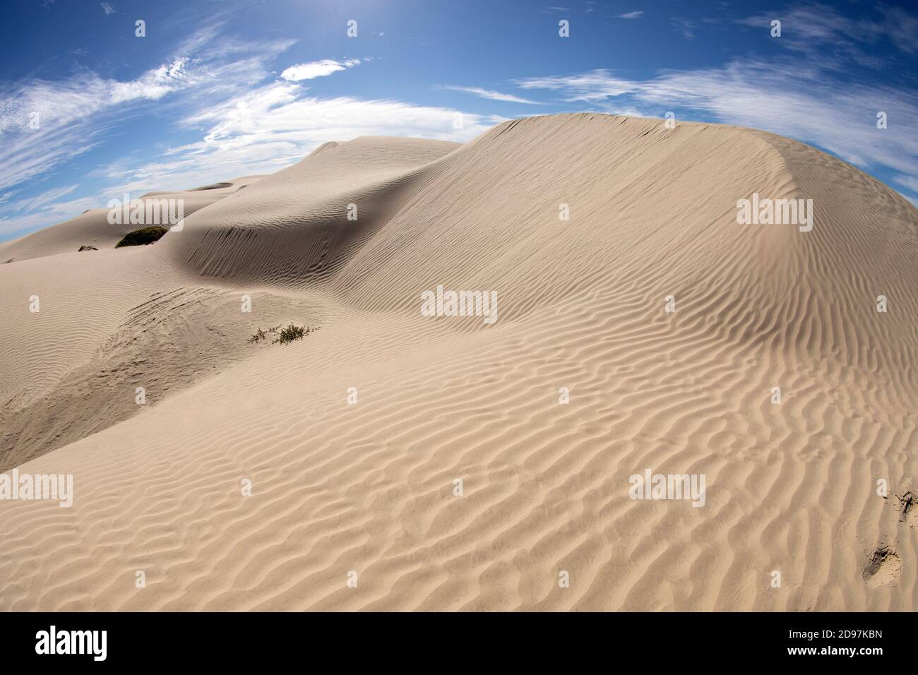 Vista de dunas de arena, Bahía Magdalena, Puerto San Carlos, Baja California, México. Foto de stock