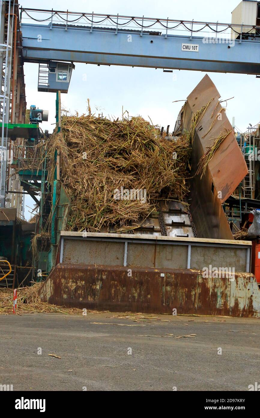 Planta procesadora de caña de azúcar, Isla Reunión Foto de stock