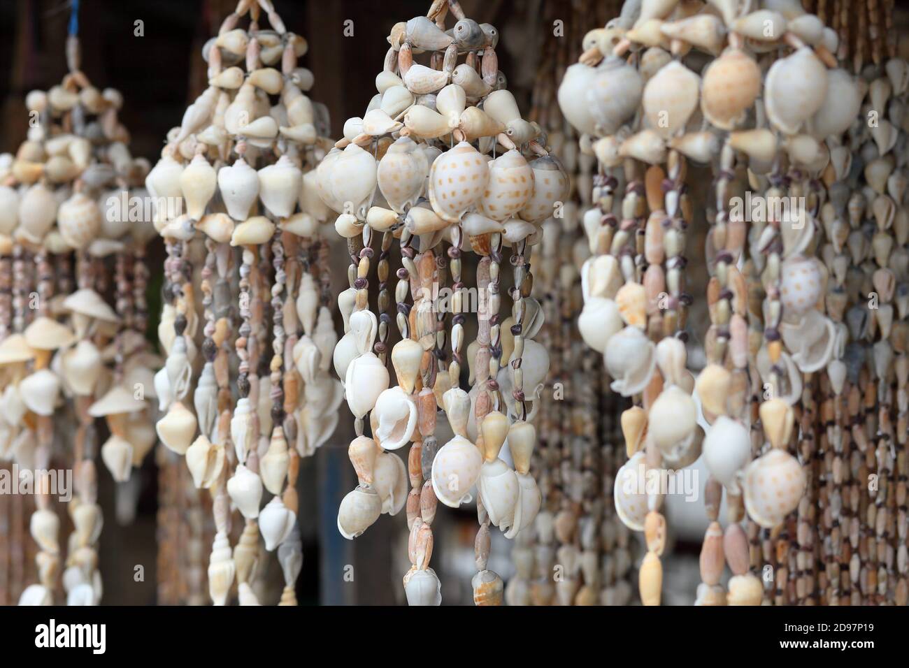 Decoraciones con conchas y caracoles de mar Fotografía de stock - Alamy