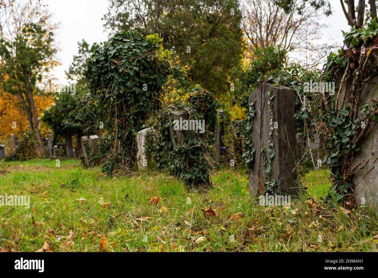 Antiguas tumbas judías en el Cementerio Central de Viena en noviembre