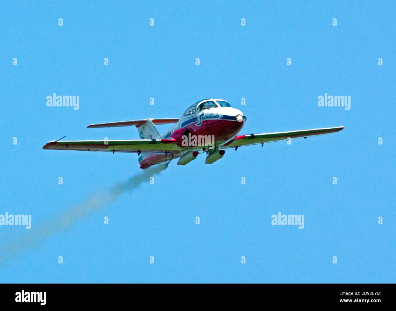 Aves de nieve de la Fuerza Aérea Canadiense Foto de stock