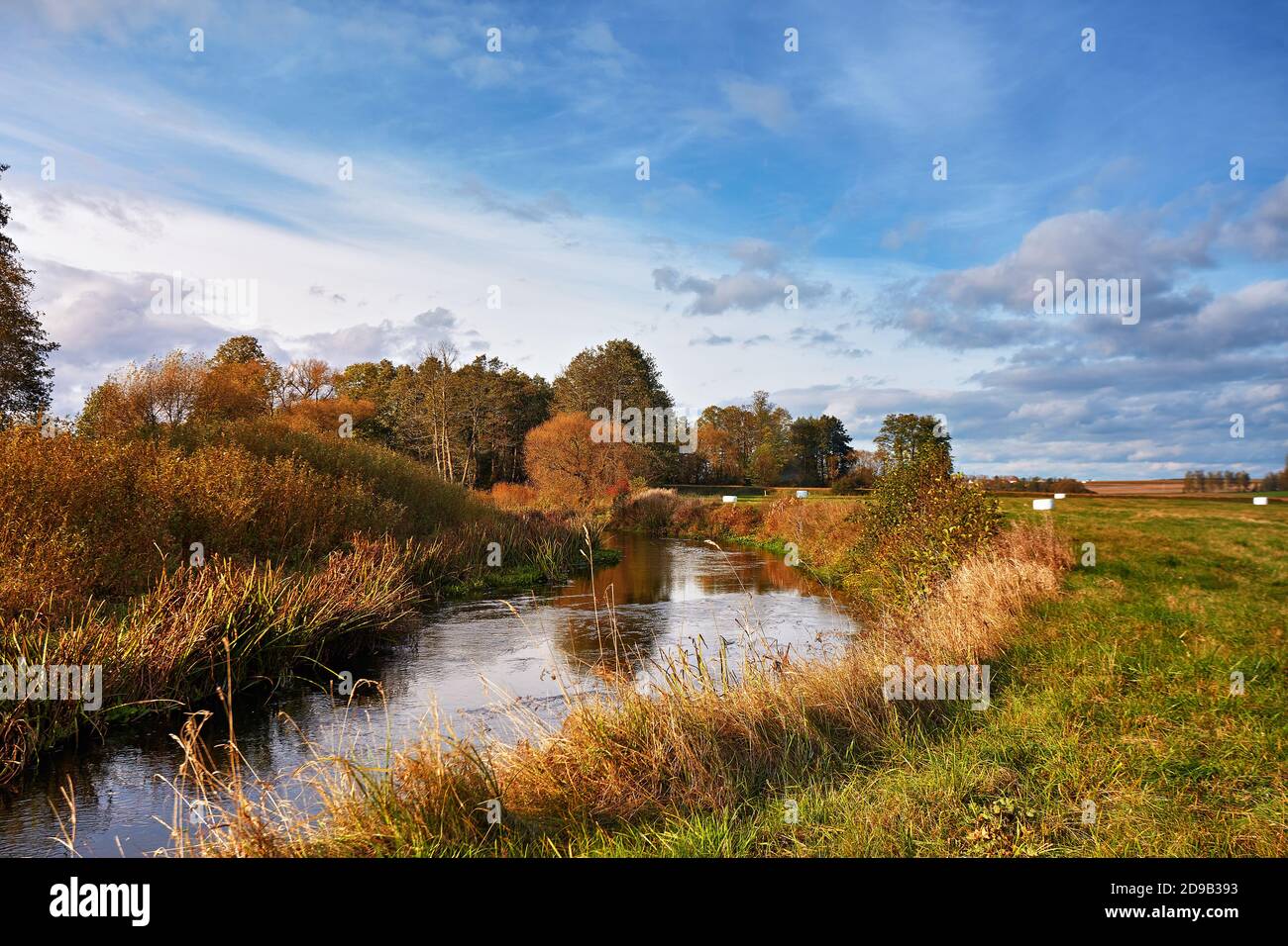 Soleado día de otoño en el río y la pradera. Paisaje colorido con bosque, campo, lago. Paisaje rural escénico. Bielorrusia Foto de stock