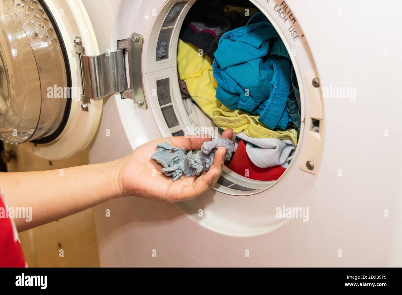 Un puñado de pelusas atrapadas en el filtro de la lavadora-secadora  Fotografía de stock - Alamy