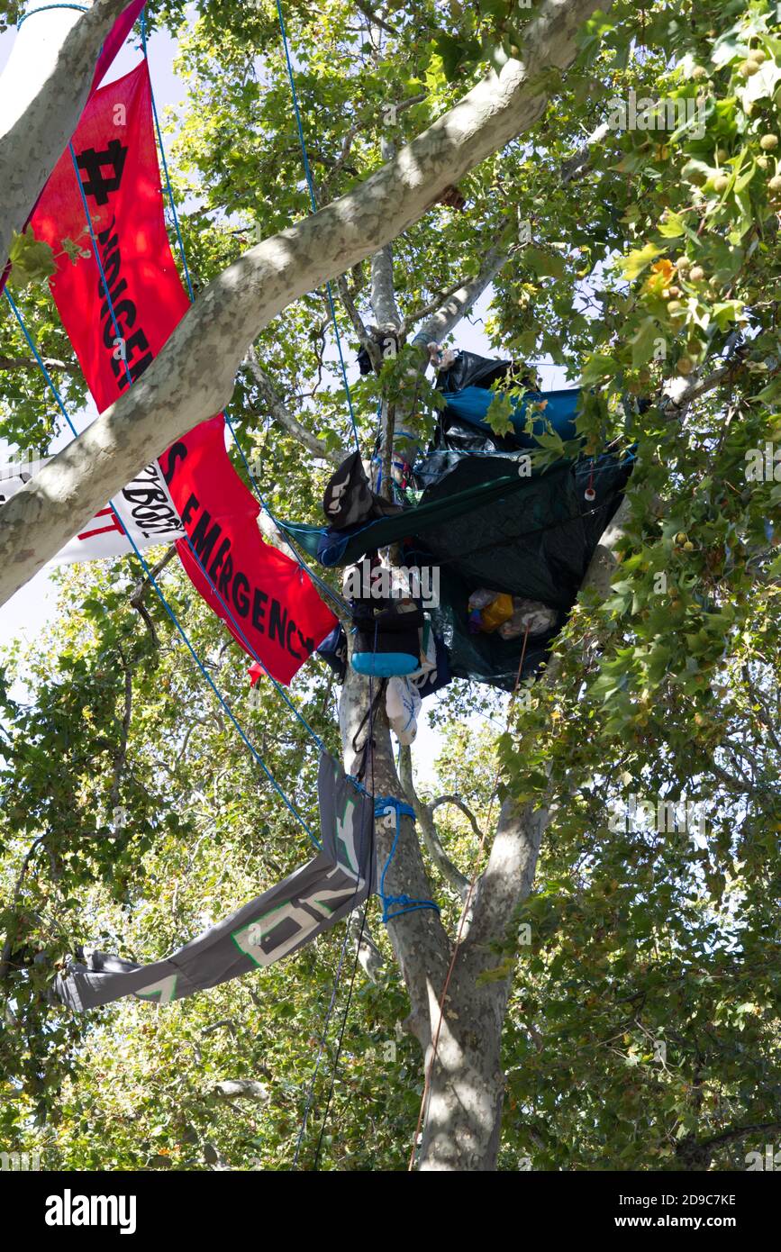 Manifestantes acampando un árbol en la plaza del Parlamento para el cambio climático Foto de stock