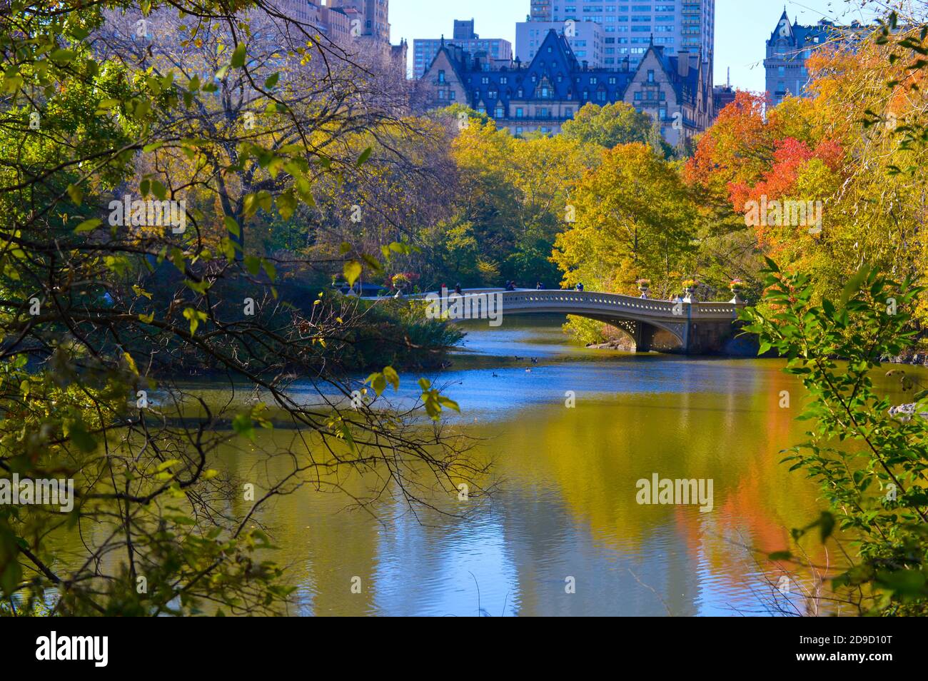 Caída del follaje en Central Park en la ciudad de Nueva York el 4 de noviembre de 2020. Foto de stock