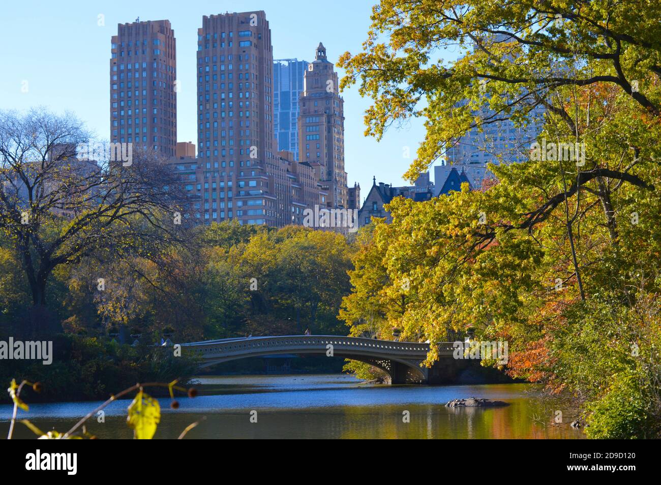 Caída del follaje en Central Park en la ciudad de Nueva York el 4 de noviembre de 2020. Foto de stock