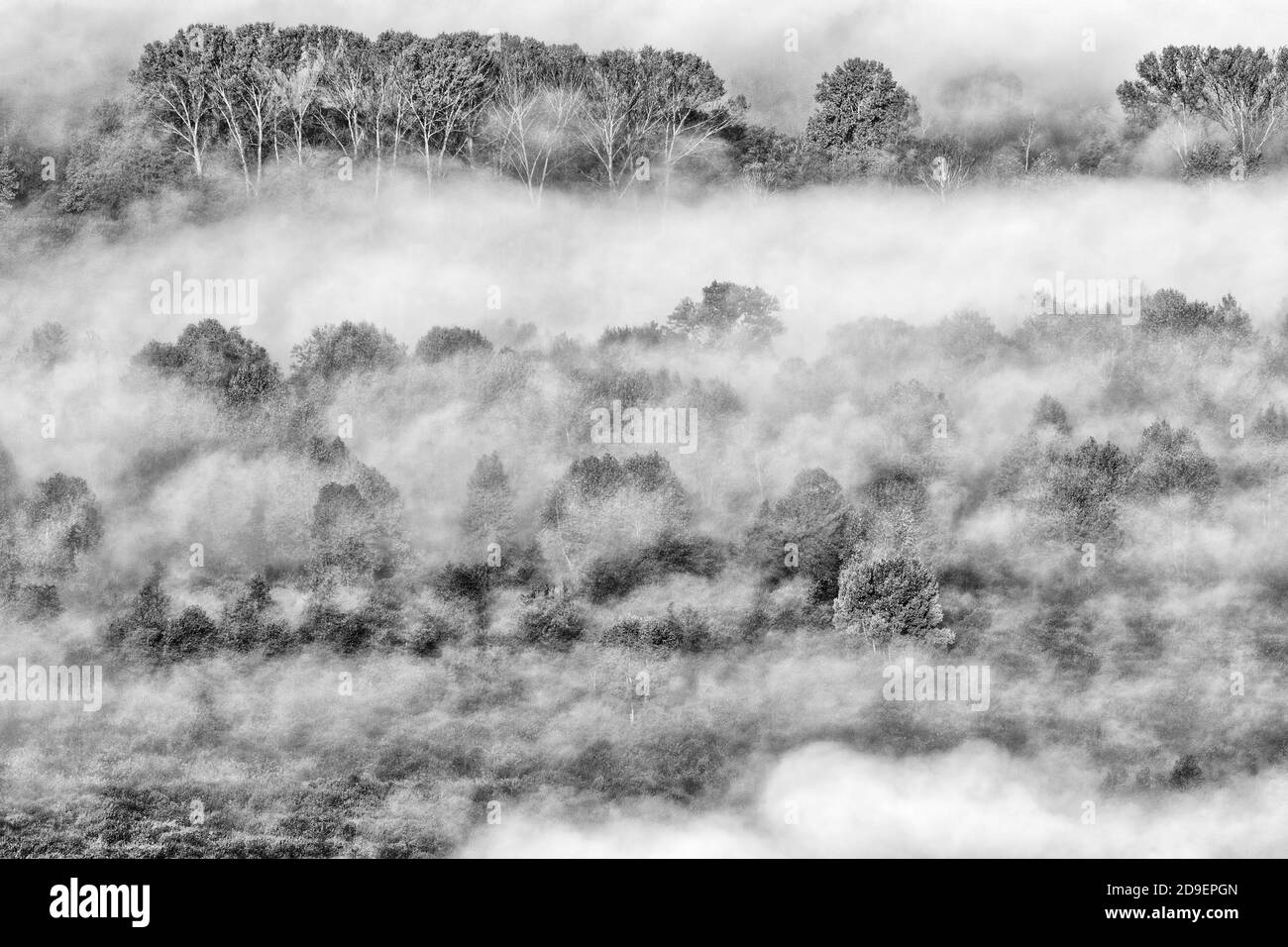 Paisaje otoñal con niebla, fotografía en blanco y negro Foto de stock