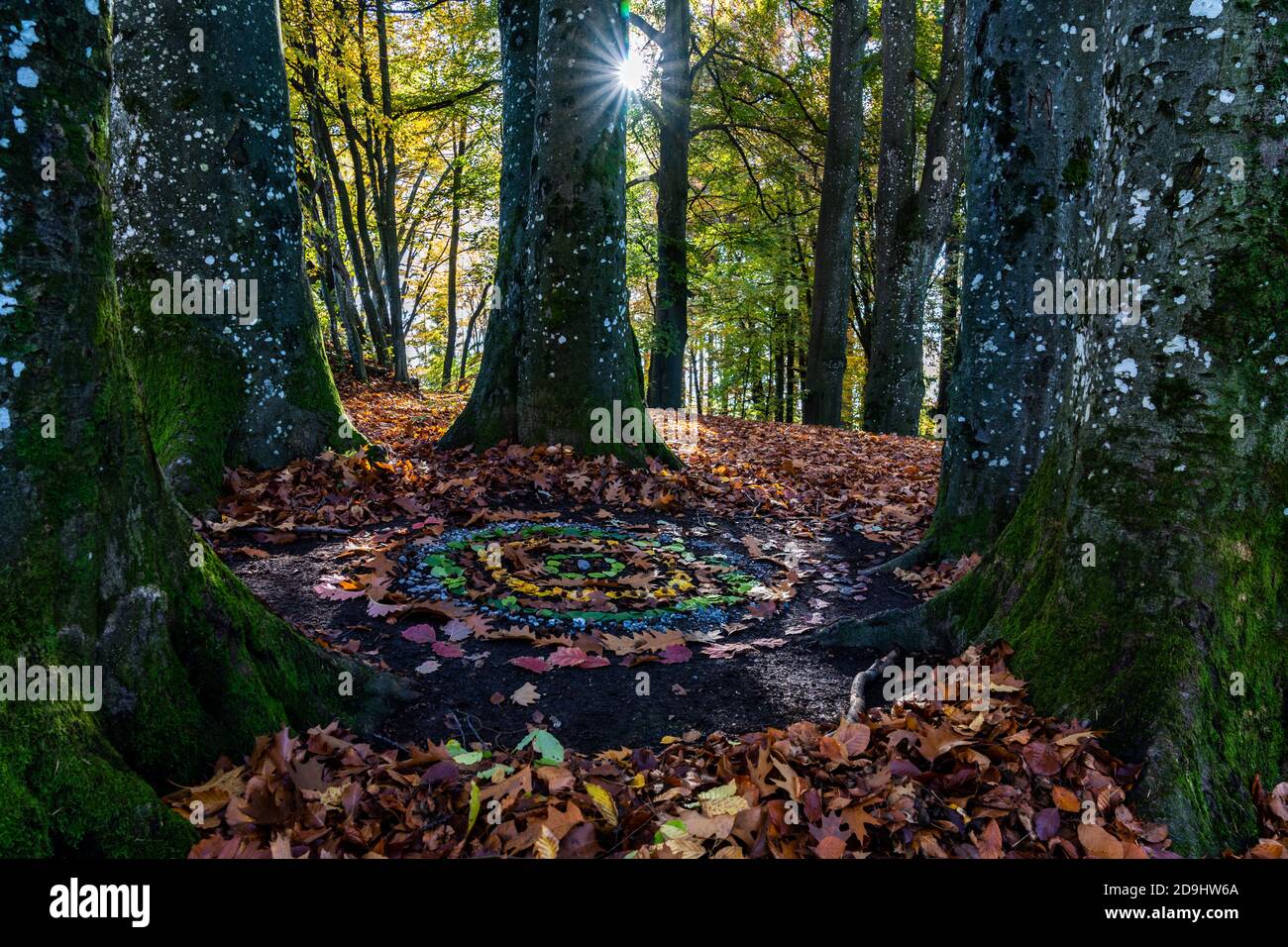 Im Herbstwald haben Kinder einen bunten Kreis mit Blätter, Steinen und Rinde gemacht. Ein Kunstwerk, von der Sonne durch die Bäume angeleuchtet. Estrella Foto de stock