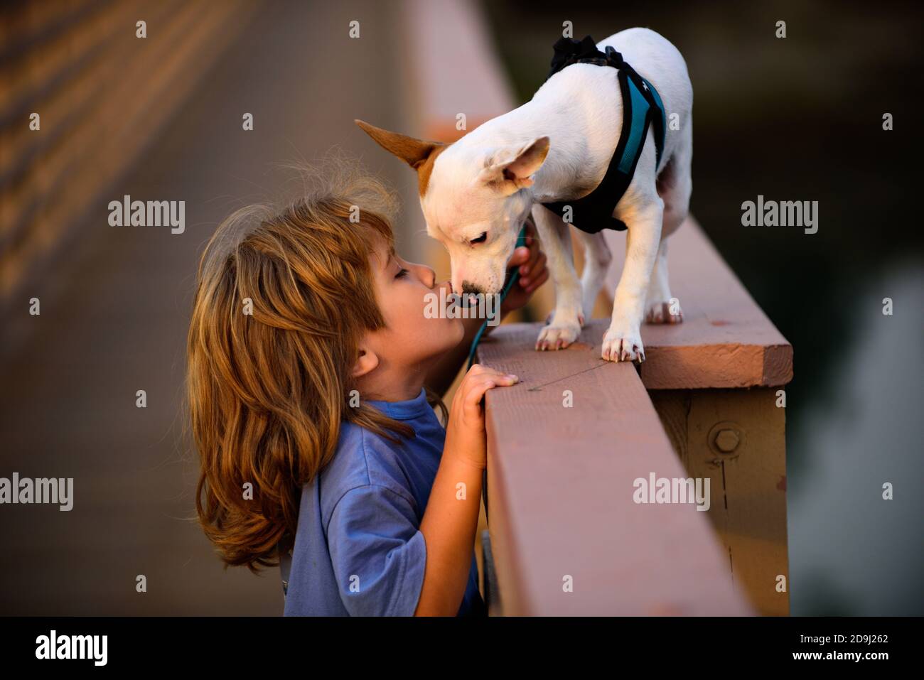 Niño con cachorro de mascota. Niño besando perro. Foto de stock