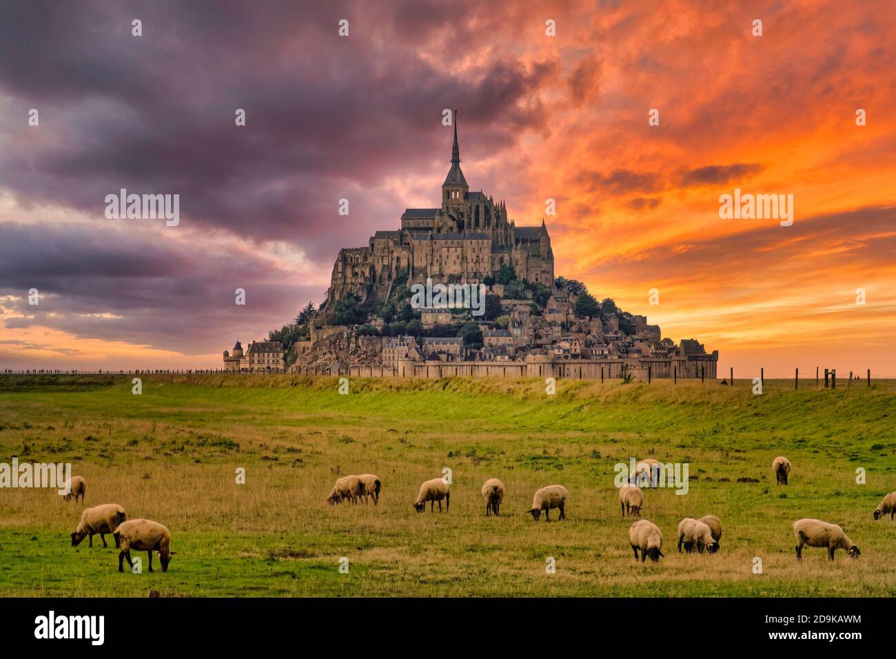 Mont Saint Michel, Sonnenuntergang, spektakulaere Wolken, Schafe auf Weide, UNESCO-Weltkulturerbe, Normandie, Frankreich, Foto de stock