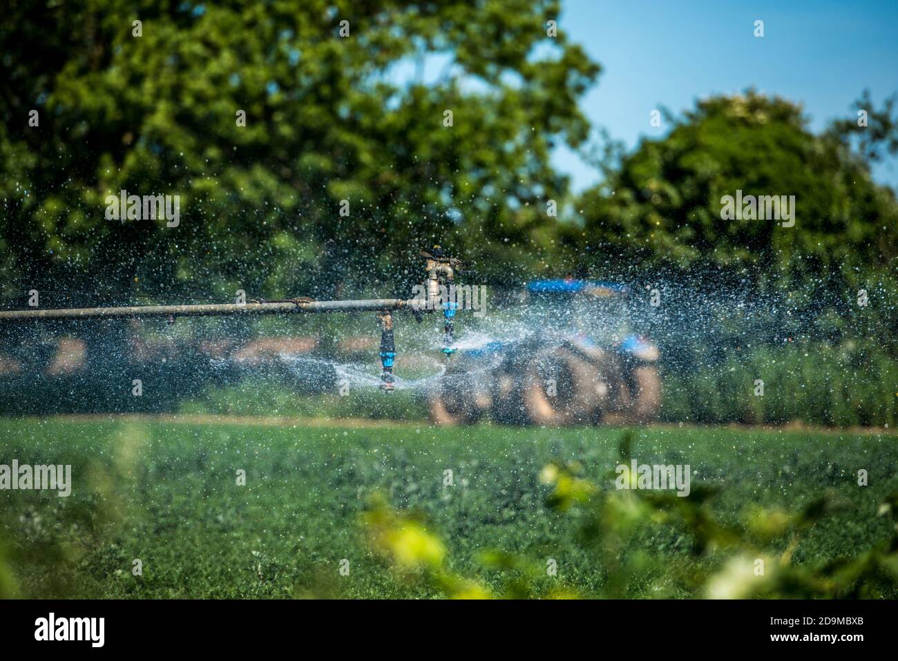 Campo de riego del tractor Foto de stock