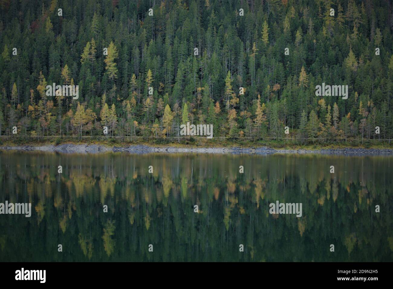 Colores de noviembre fotografías e imágenes de alta resolución Alamy