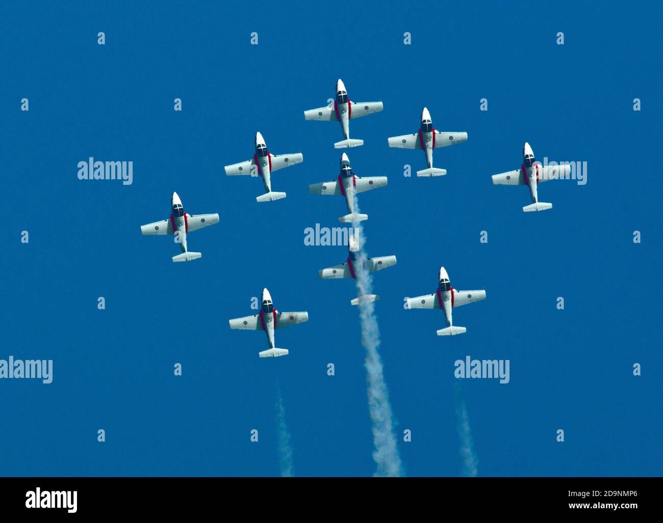 Aves de nieve de la Fuerza Aérea Canadiense Foto de stock