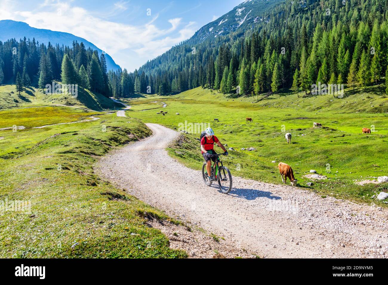 Parque de bicicletas italia fotografías e imágenes de alta resolución -  Alamy