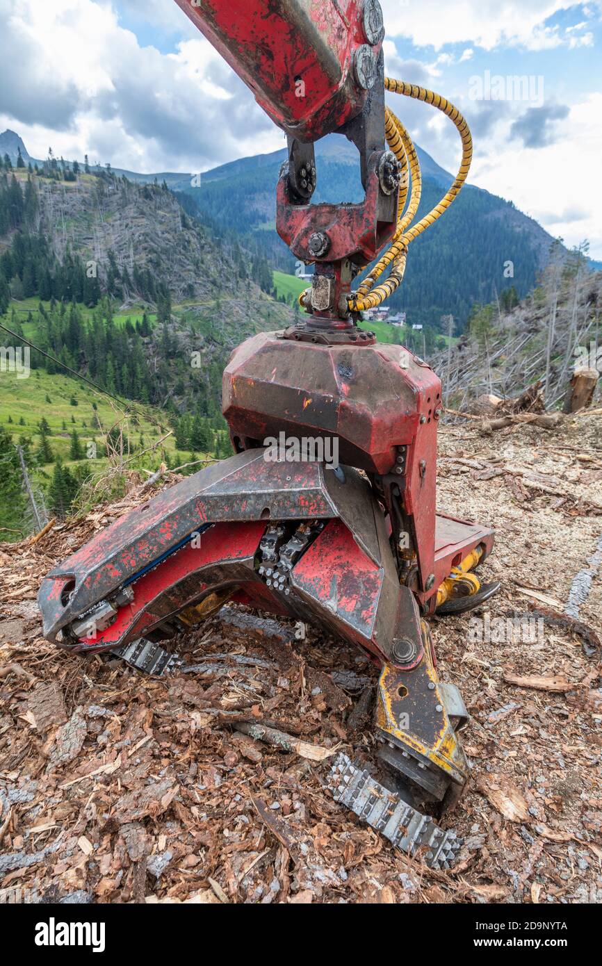 procesador para el corte y desbridamiento de troncos de árboles, trabajos forestales, dolomitas, italia, europa Foto de stock