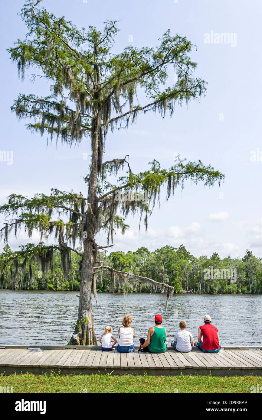 Louisiana Northshore, Madisonville, Fairview Riverside State Park a lo largo del río Tchefuncte, familia padres niños, Foto de stock