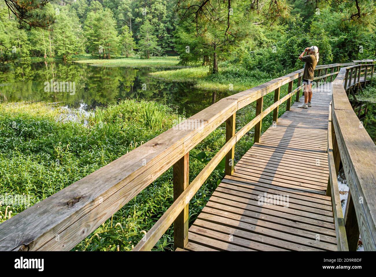 Louisiana Northshore, Mandeville, Northlake Nature Center centro caminar paseo elevado paseo marítimo, mujer mujer prismáticos avistador de aves avistador de aves birder, Foto de stock