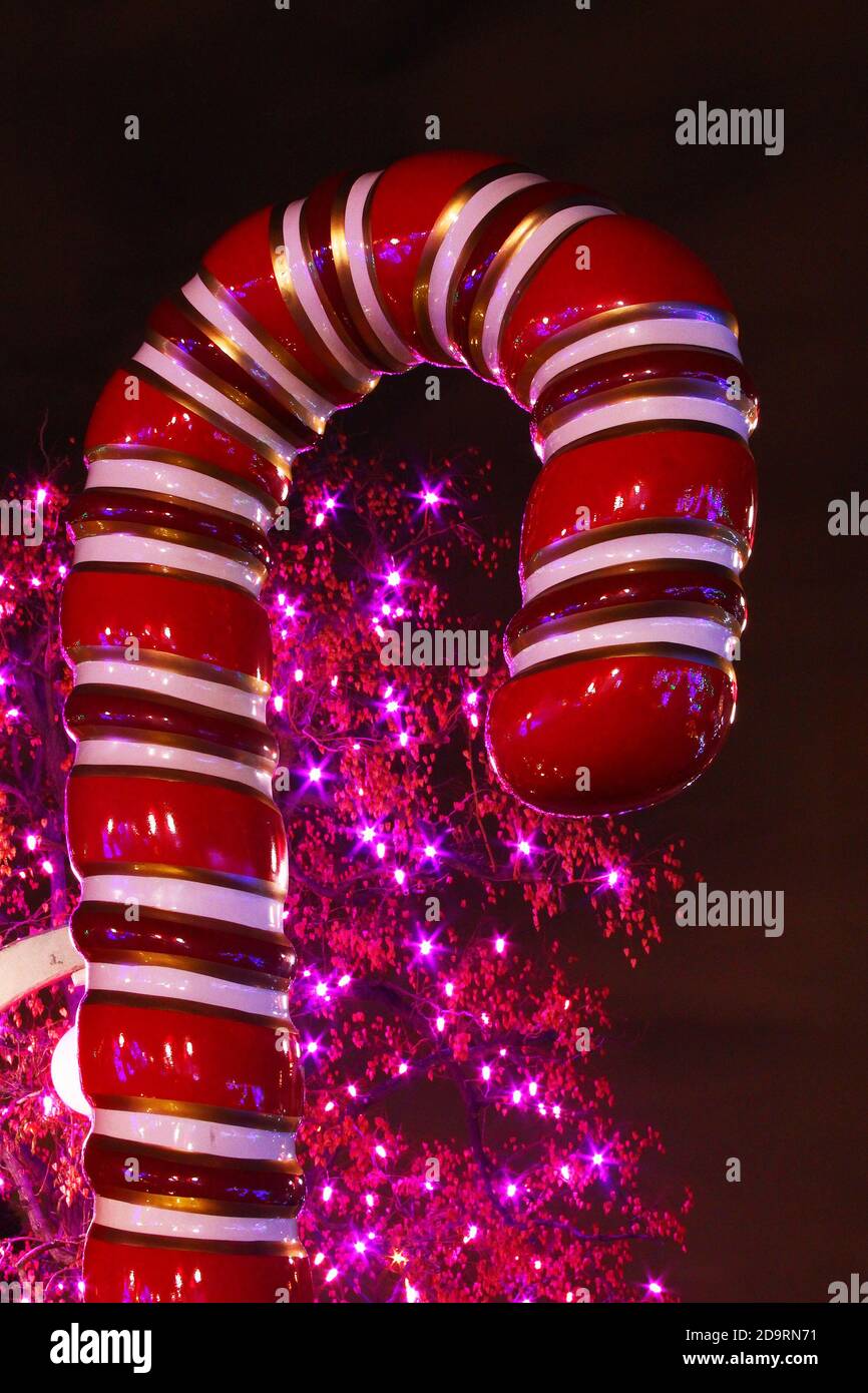 Gigante al aire libre decorativo bastón de caramelo con luces de Navidad en  el fondo Fotografía de stock - Alamy