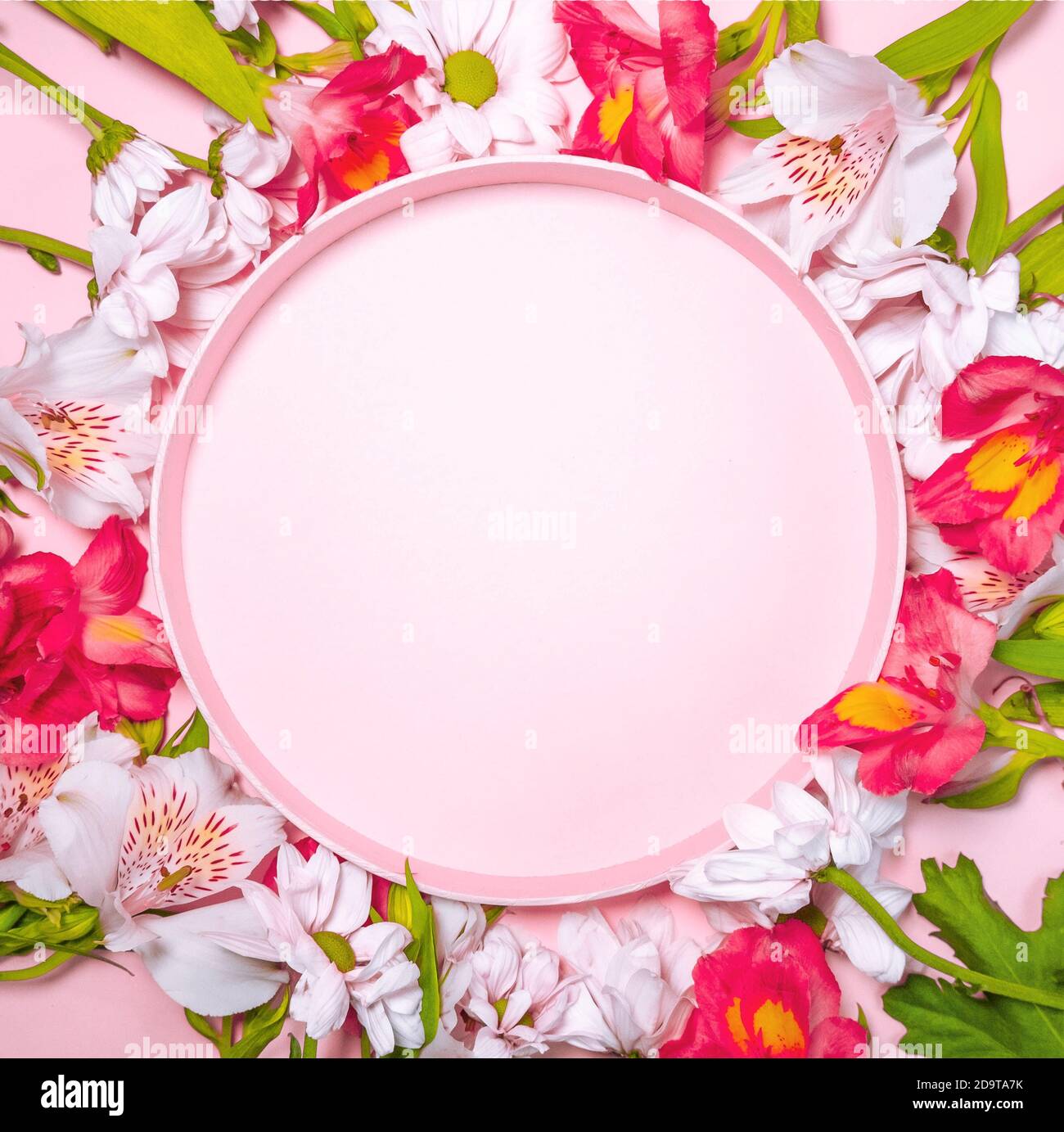 Banner con marco de círculo floral en color rosa pastel Fotografía de stock  - Alamy