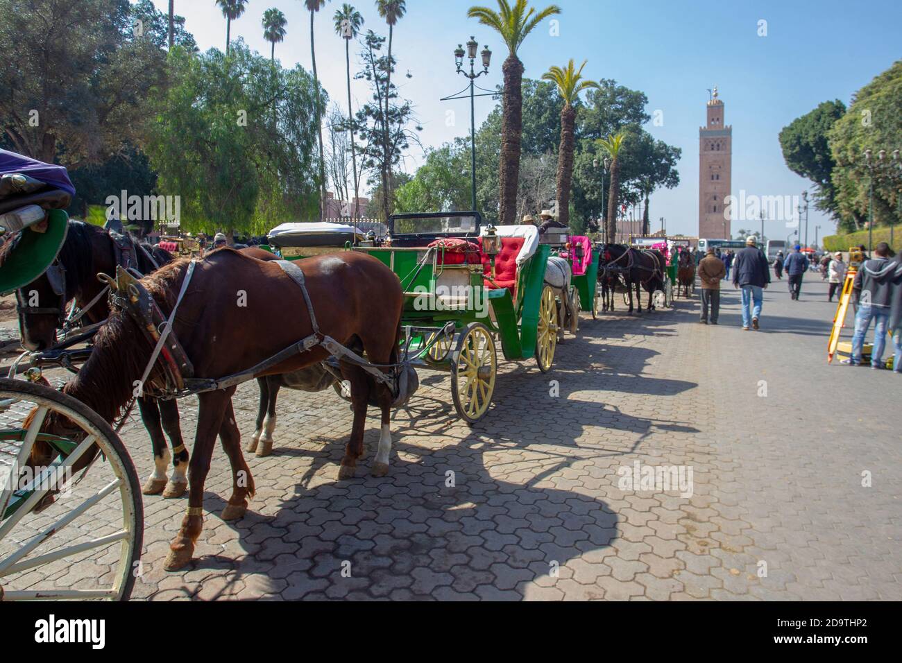 Caballos en carruajes de caballos esperando a los clientes
