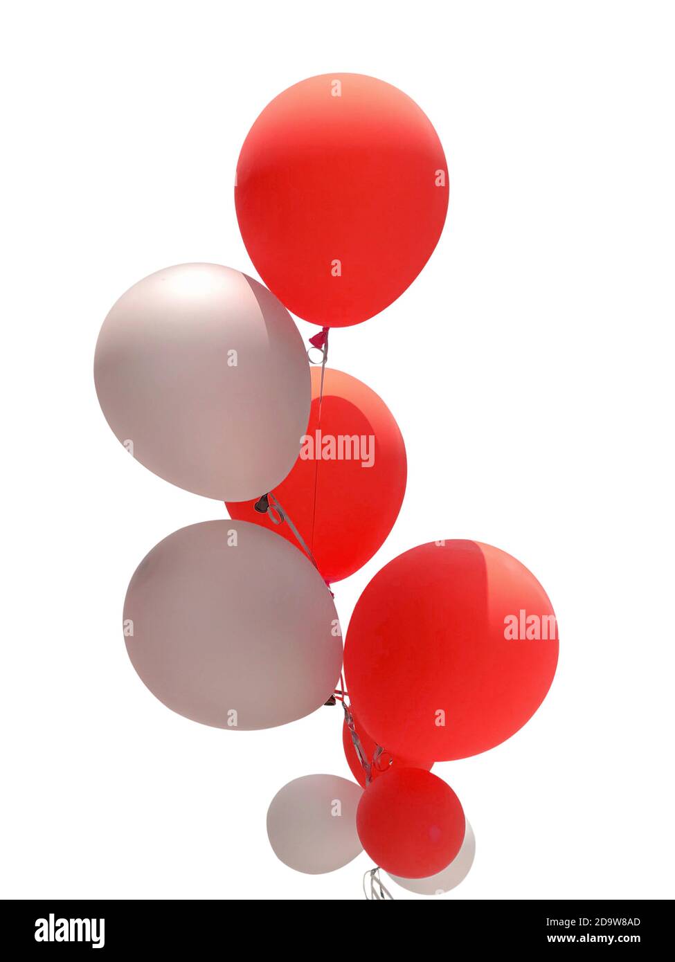 Grupo de globos rojos y blancos para la decoración de la fiesta aislados  sobre fondo blanco Fotografía de stock - Alamy