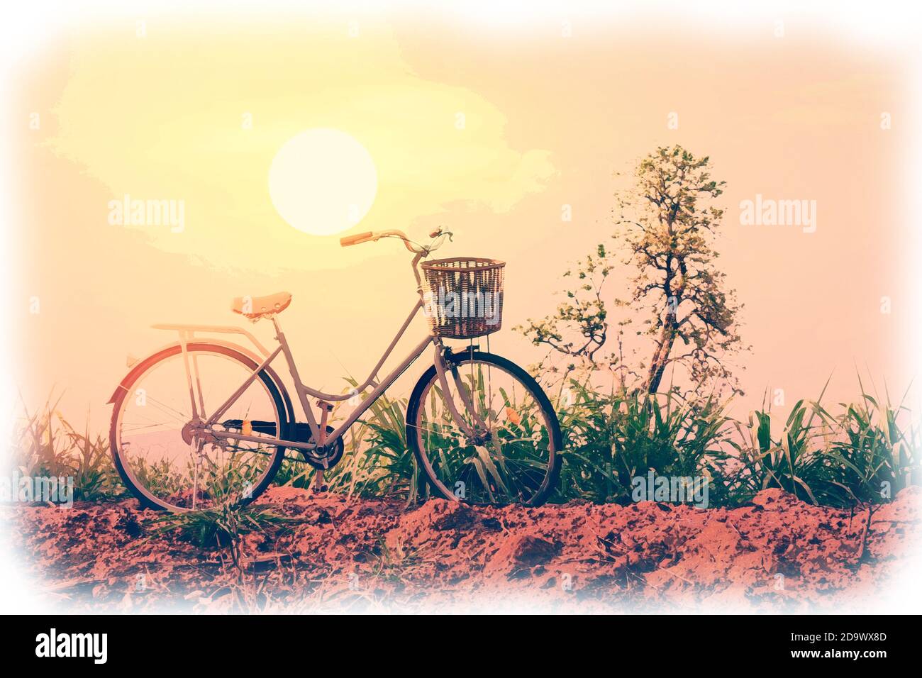 Hermosa bicicleta vintage en el campo con la luz del sol y el cielo azul;  estilo de filtro vintage para la tarjeta de felicitación y postal  Fotografía de stock - Alamy