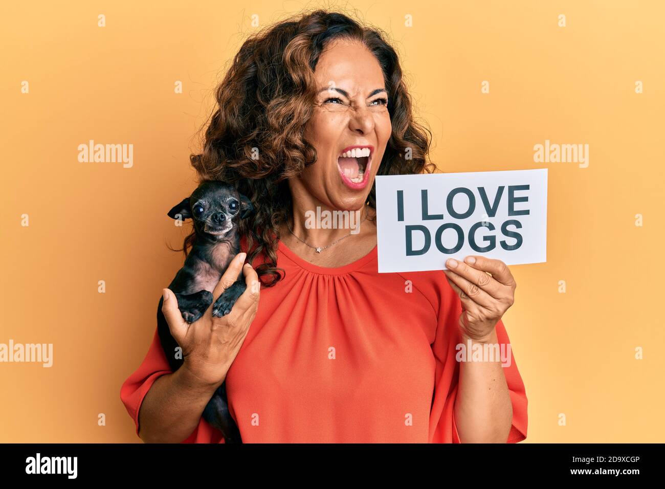 Mujer hispana de mediana edad sosteniendo perro y papel de chihuahua con mi  amor perros frase enojada y enojada gritando frustrada y furiosa, gritando  con ira Fotografía de stock - Alamy