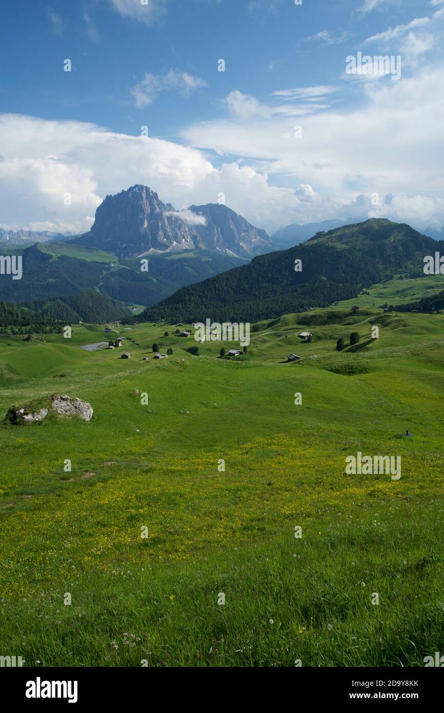 alpes verdes en dolomitas italianas durante el verano, italia Foto de stock