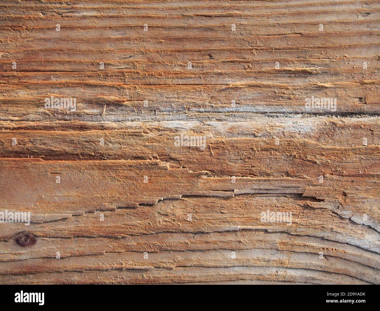 Tabla de madera erosionada por agua salada, fondo de madera, textura