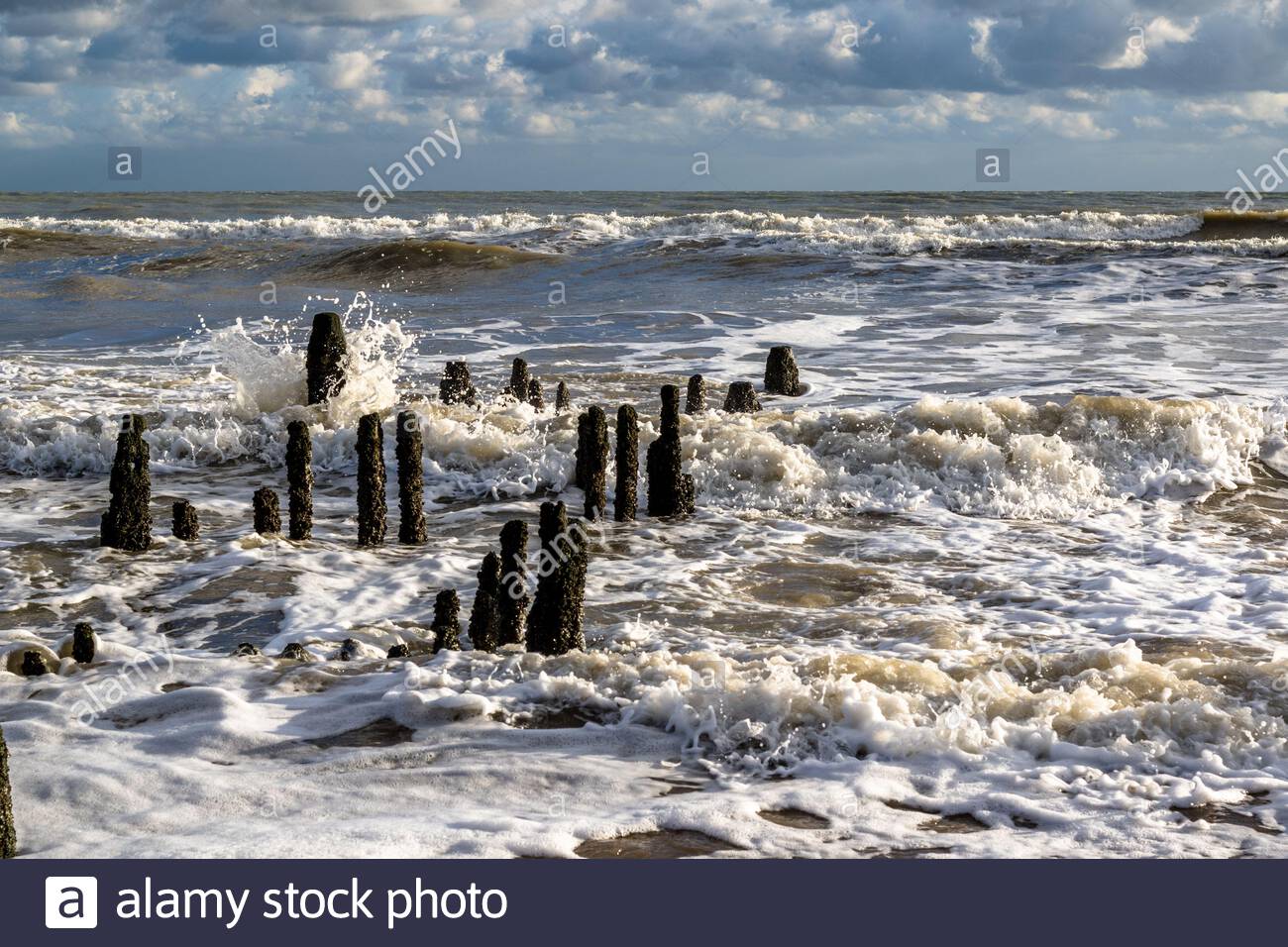 Los mares ásperos rompen sobre los restos de las defensas de madera del mar en el sol de otoño de la tarde, playa de Rye Harbor, Sussex del este, Reino Unido Foto de stock