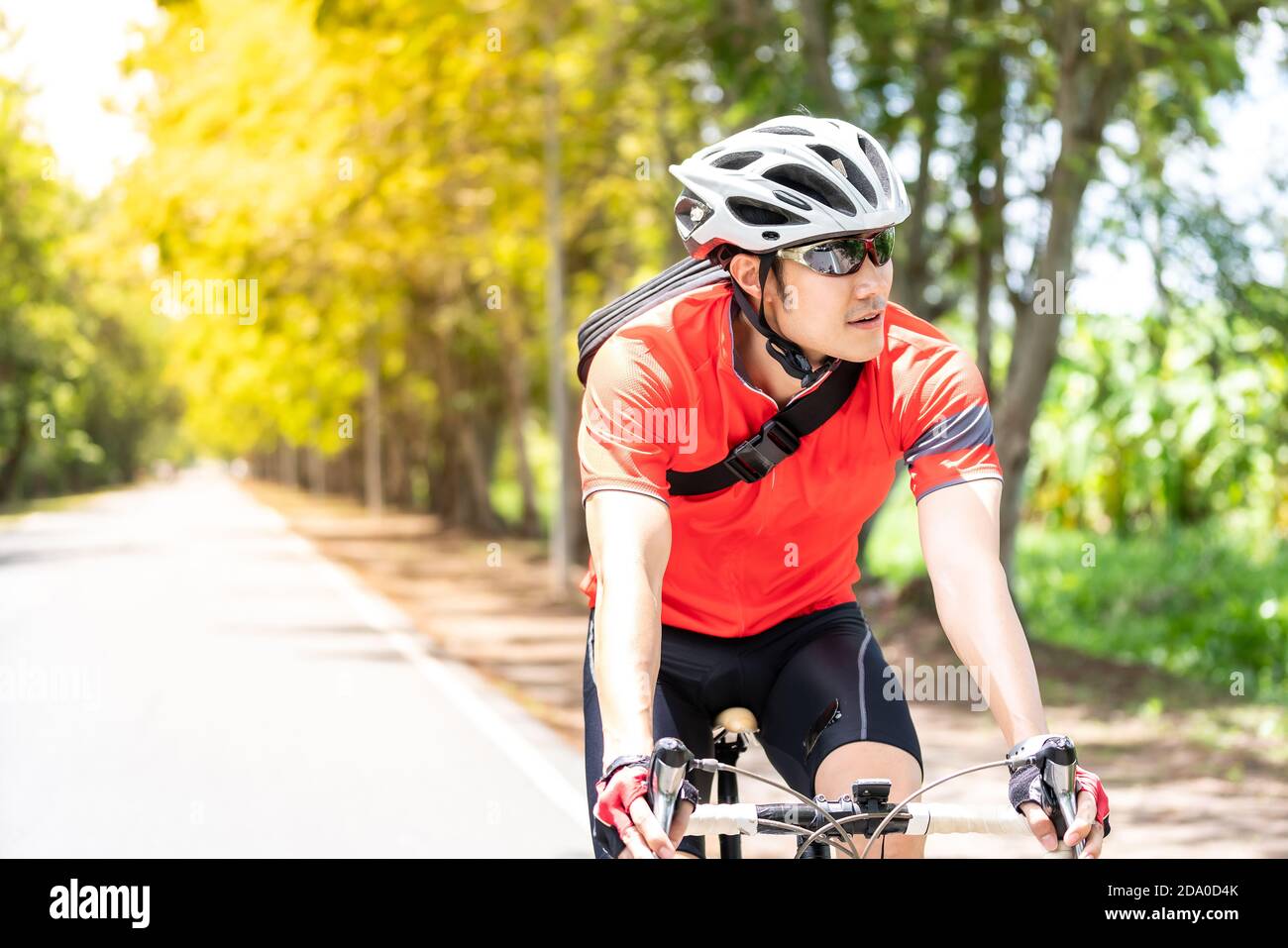 menor La cabra Billy Cocinando Retrato de un ciclista asiático masculino en la camiseta deportiva en  bicicleta a lo largo de la carretera de campo con árbol verde en el fondo.  Fin de semana deporte al aire