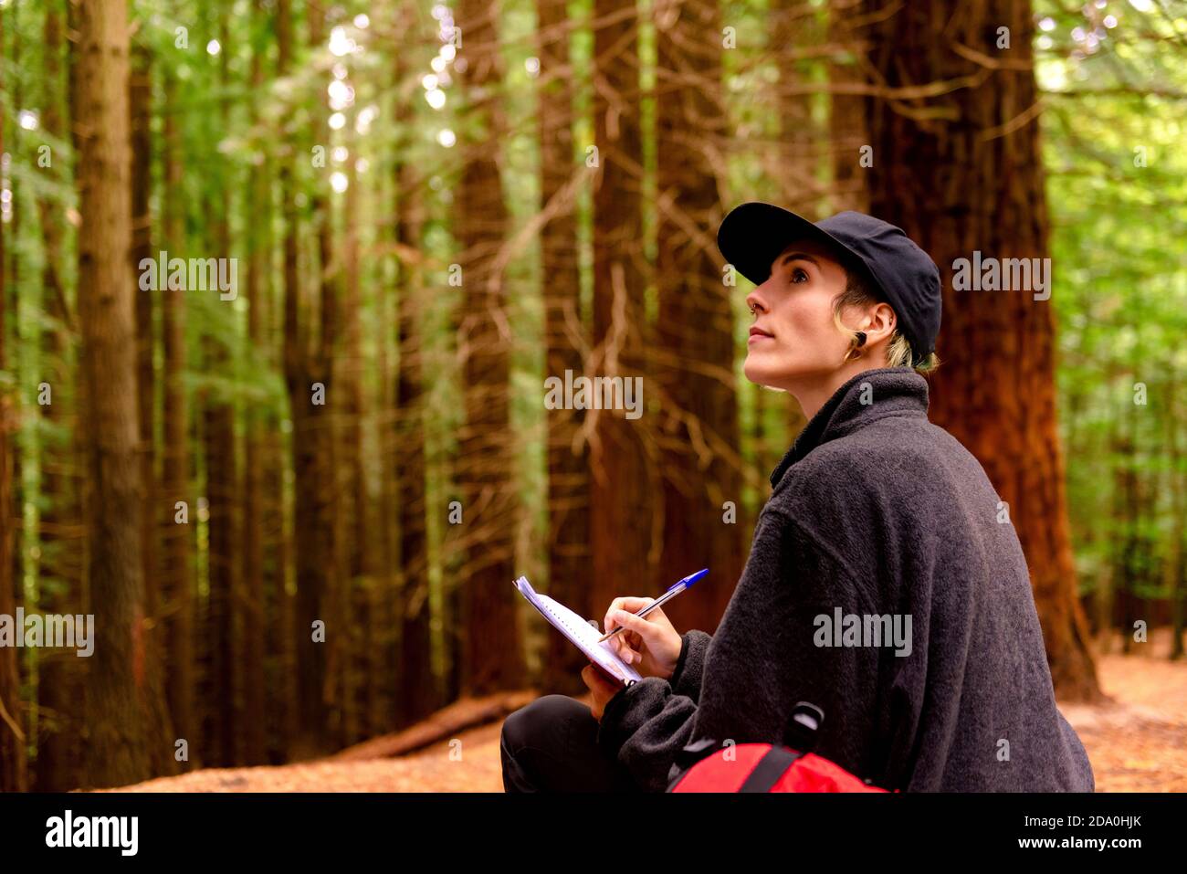 Vista lateral del explorador femenino sentado en el bosque y escrito En cuaderno mientras disfruta de vacaciones en Monte Cabezon Monumento Natural De Sequoias en Cantábricas Foto de stock
