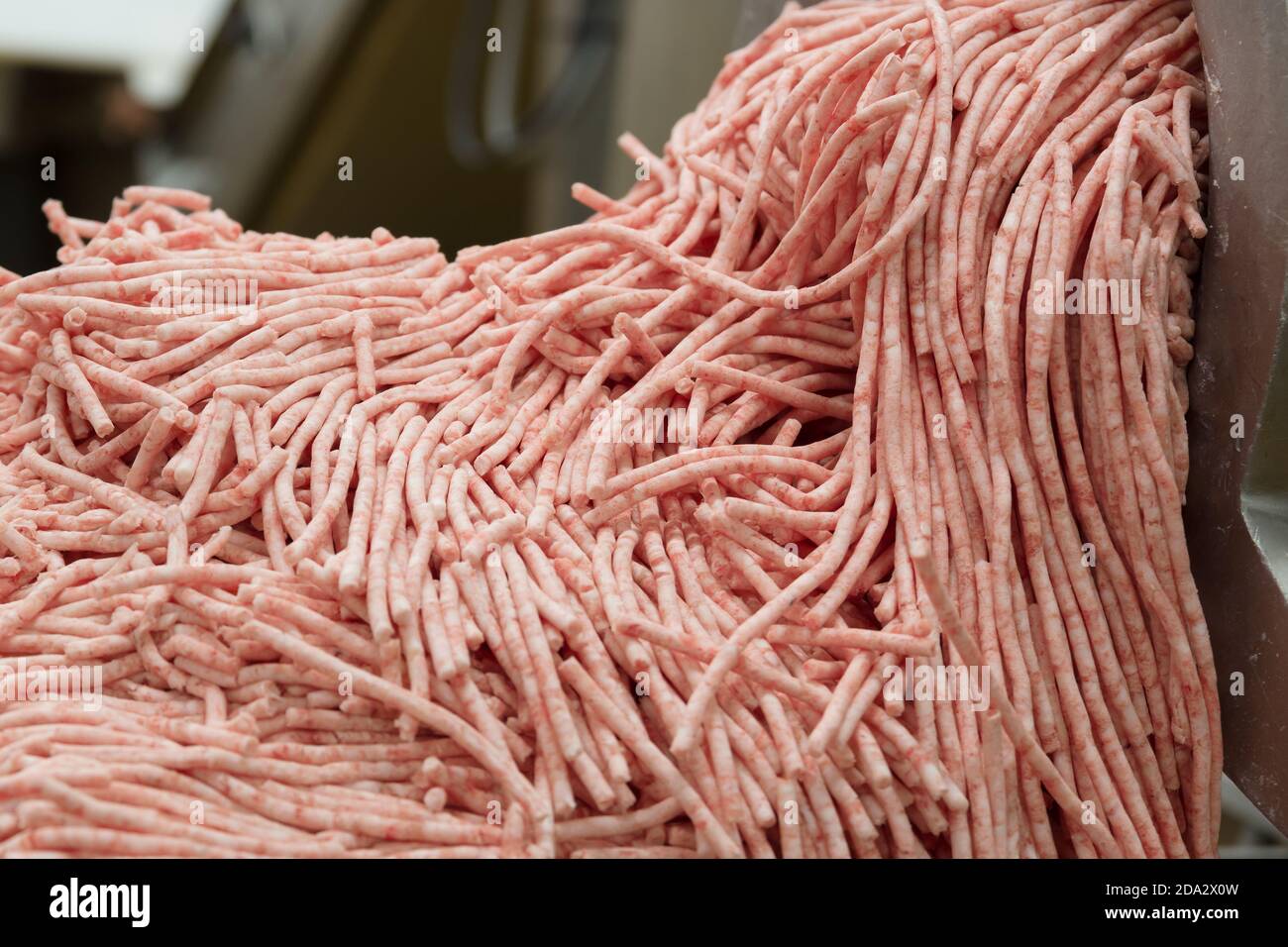 La carne picada se extruye de una máquina de picar industrial Foto de stock