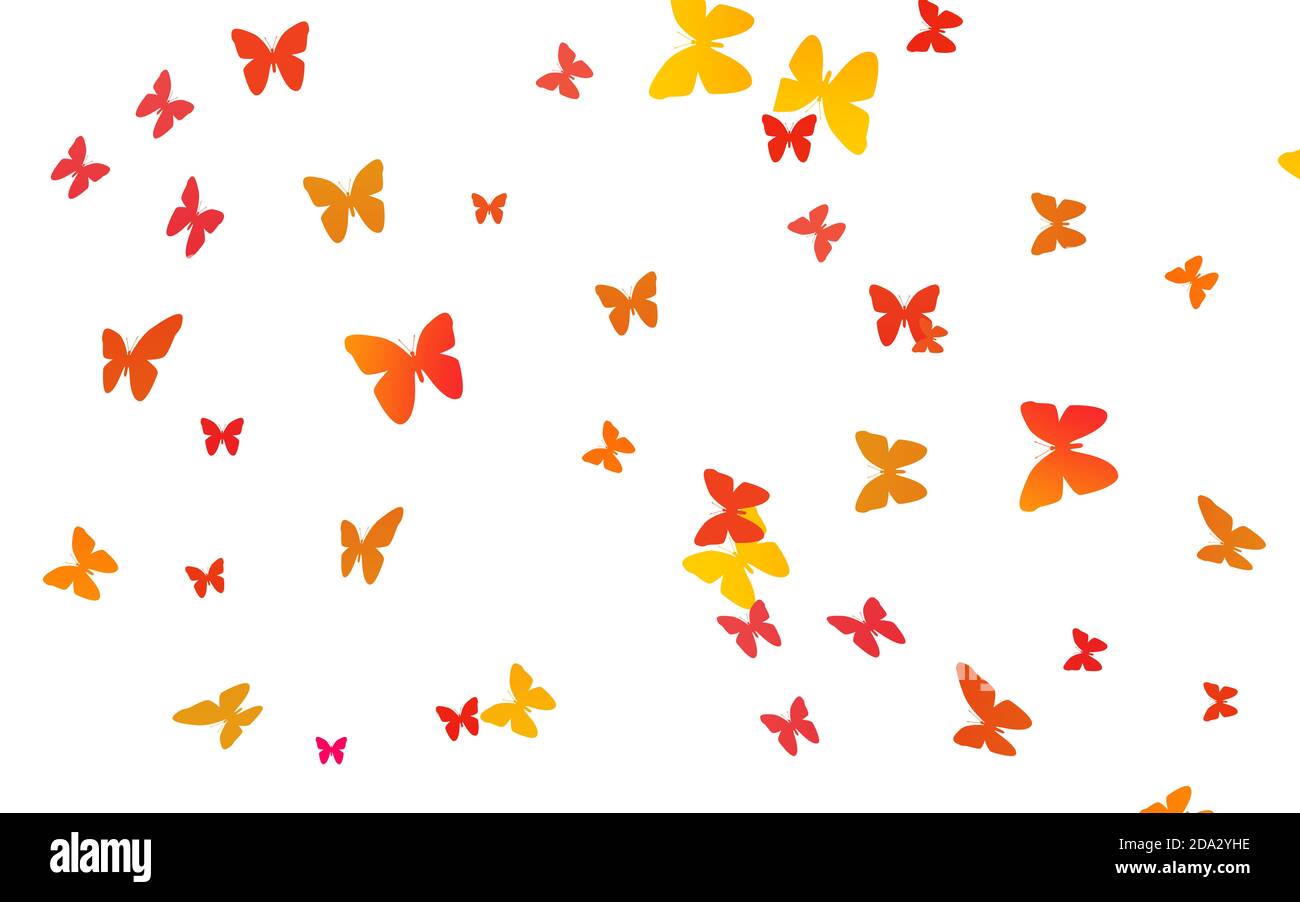 Cenefas adhesivas 🤎 🖤 diseño de mariposas coloridas fondo blanco