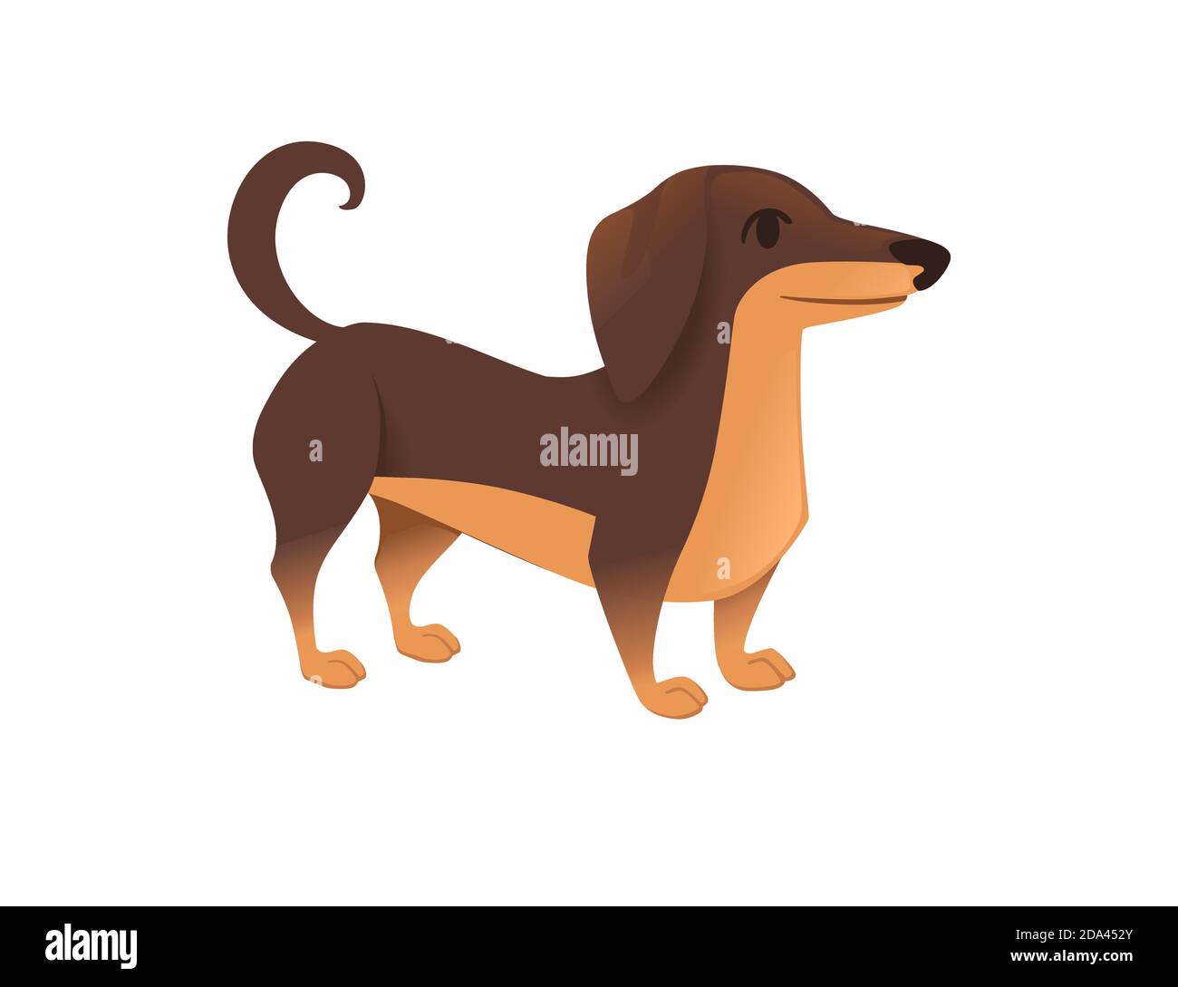 Raza de perro salchicha fotografías e imágenes de alta resolución - Alamy