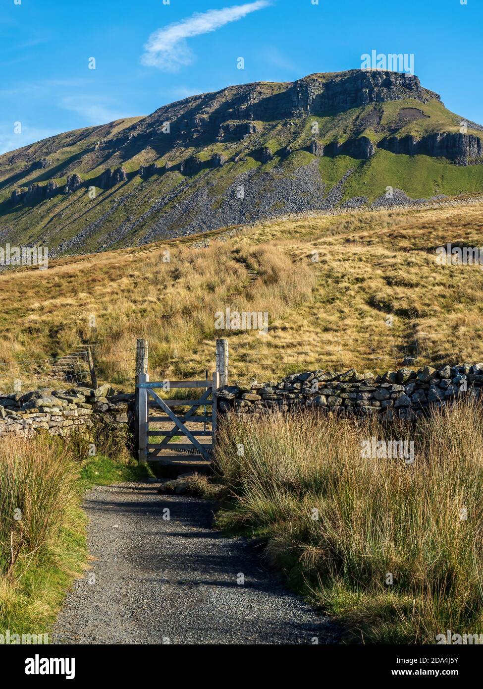 Pen-y-ghent montaña con camino y puertas. A 2277 pies es uno de los tres Picos de las montañas de Yorkshire. Parque Nacional Yorkshire Dales Foto de stock