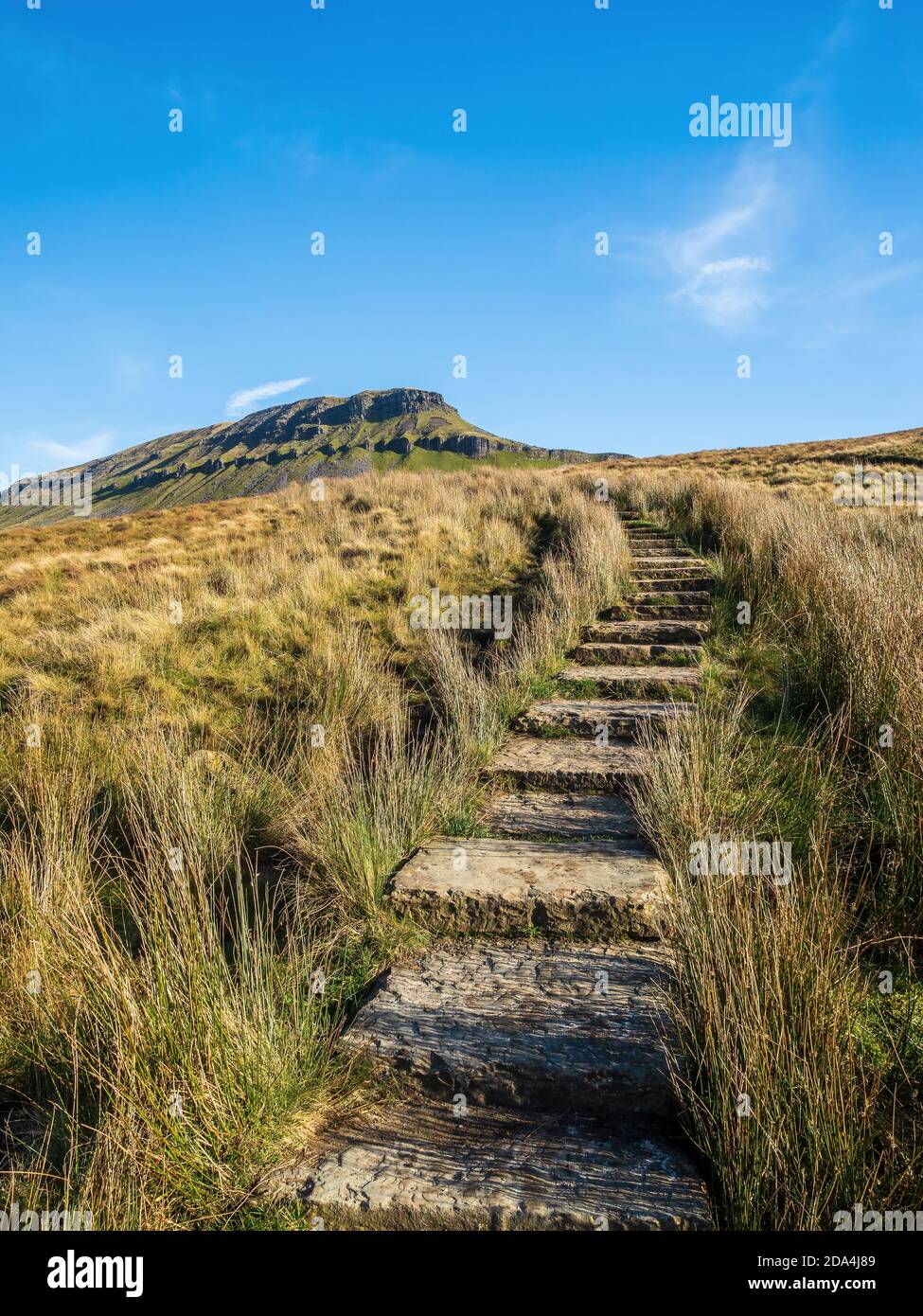 Pen-y-ghent montaña con camino y pasos. A 2277 pies es uno de los tres Picos de las montañas de Yorkshire. Parque Nacional Yorkshire Dales Foto de stock