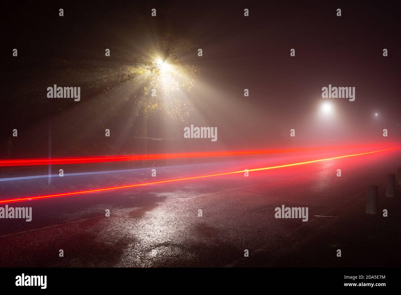 Rayos de luz de una lámpara LED de calle que brilla a través de las hojas en una noche con niebla con senderos de luz de un coche de paso, Inglaterra, Reino Unido Foto de stock