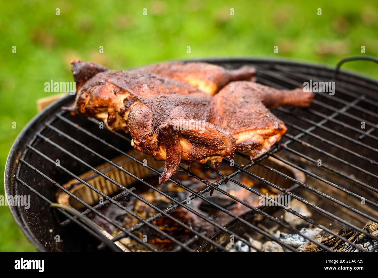 Tradicional pollo asado a la barbacoa al mattone en parrilla de carbón. Parrilla y fumando pollo al aire libre en leña parrilla en natu Fotografía de stock - Alamy Tradicional pollo asado a la barbacoa al mattone en parrilla de carbón. Parrilla y fumando pollo al aire libre en leña parrilla en natu Fotografía de stock - Alamy