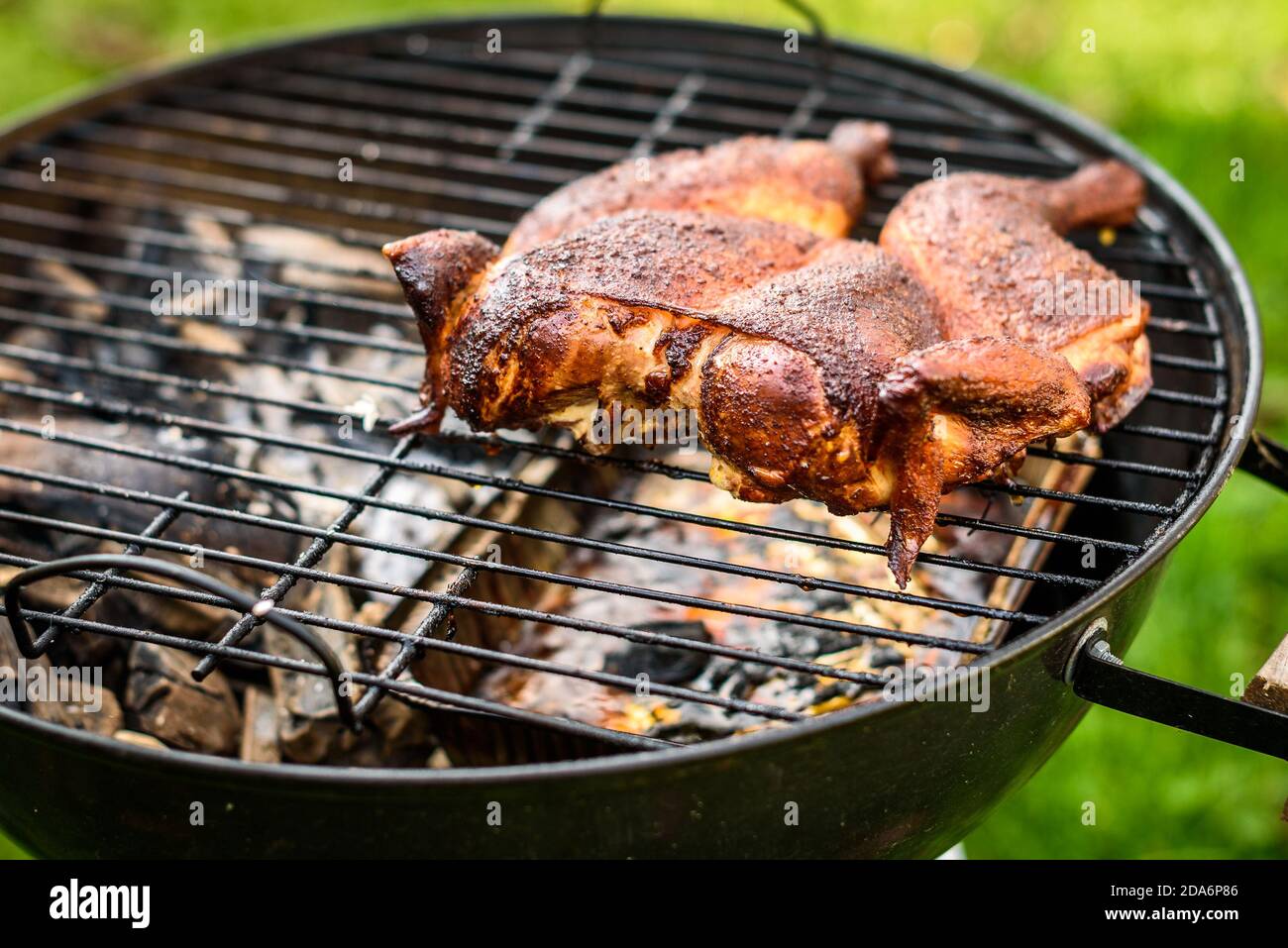 Tradicional pollo asado a la barbacoa al mattone en parrilla de carbón.  Parrilla y fumando pollo al aire libre en leña parrilla en natu Fotografía  de stock - Alamy