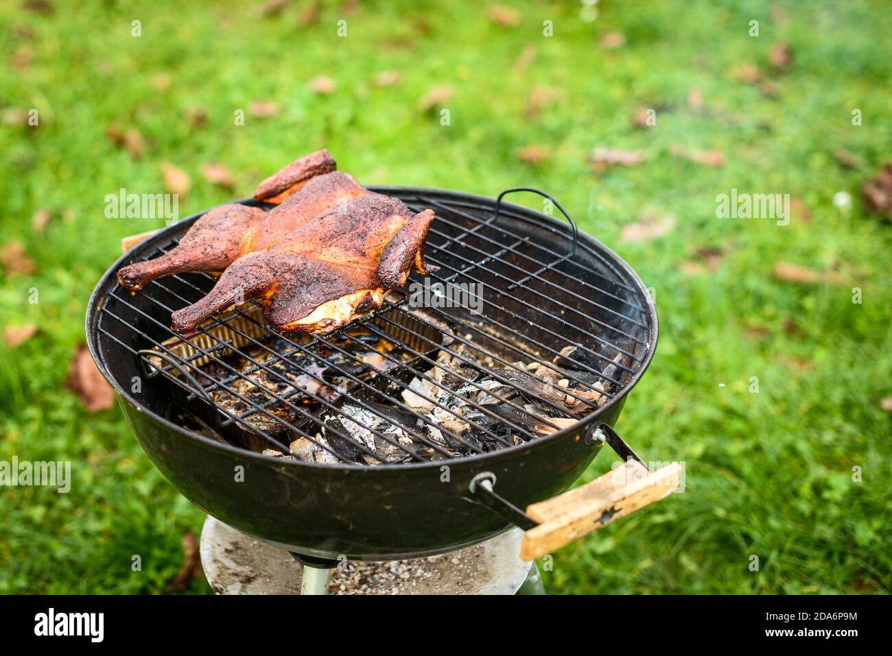 Tradicional pollo asado a la barbacoa al mattone en parrilla de carbón. Parrilla y fumando pollo al aire libre en leña parrilla en natu Fotografía de stock - Alamy Tradicional pollo asado a la barbacoa al mattone en parrilla de carbón. Parrilla y fumando pollo al aire libre en leña parrilla en natu Fotografía de stock - Alamy