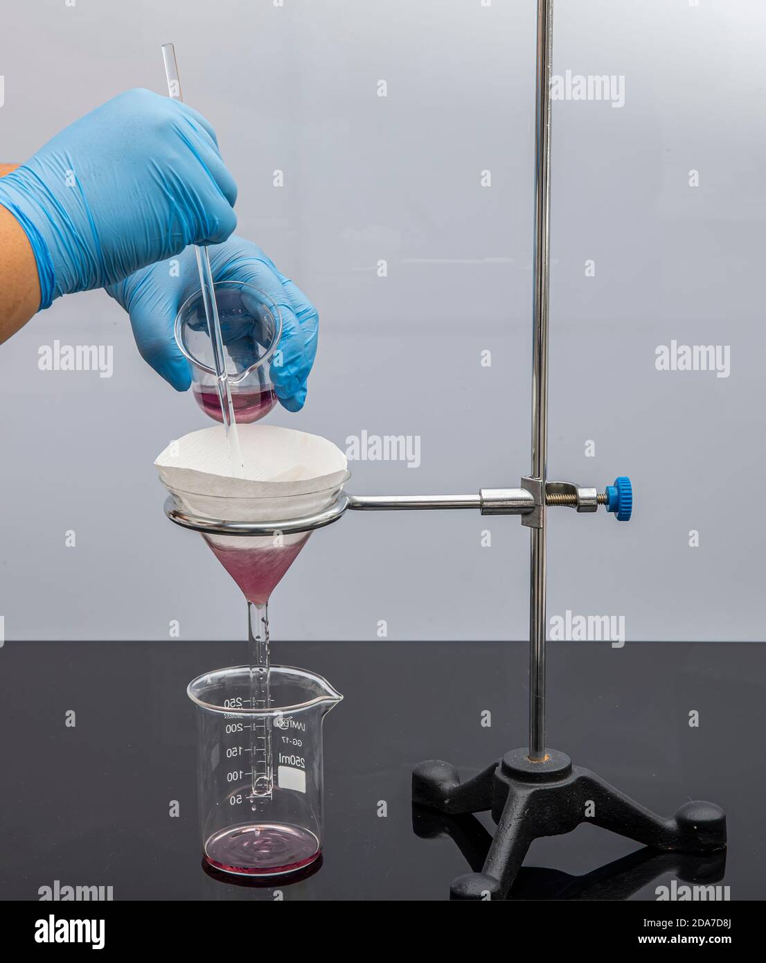 Papel de filtro en laboratorio. Los científicos son la filtración química  filtrando a través de papel de filtro en un embudo de vidrio, Close up.  Farmacéutico filtrado sub Fotografía de stock -