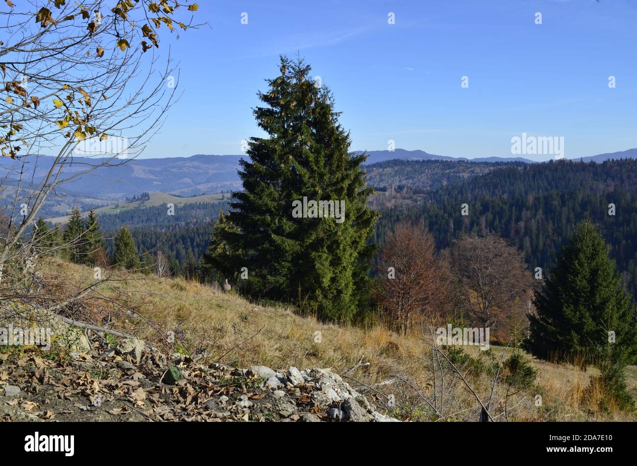 Montaña paisaje Foto de stock