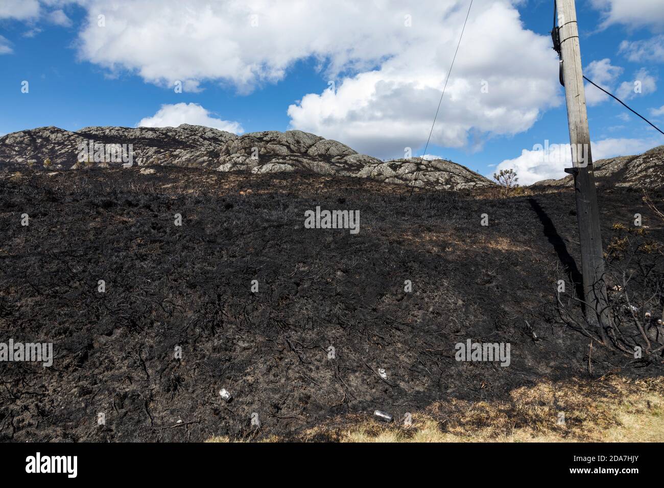 El matorral y el brezo se queman negro después de un incendio en las tierras altas al norte de Torridon, Escocia. Foto de stock