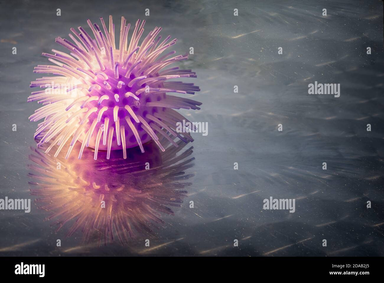 La bola de juguete se parece al coronavirus en una superficie reflectante con espacio de copia. Foto de stock