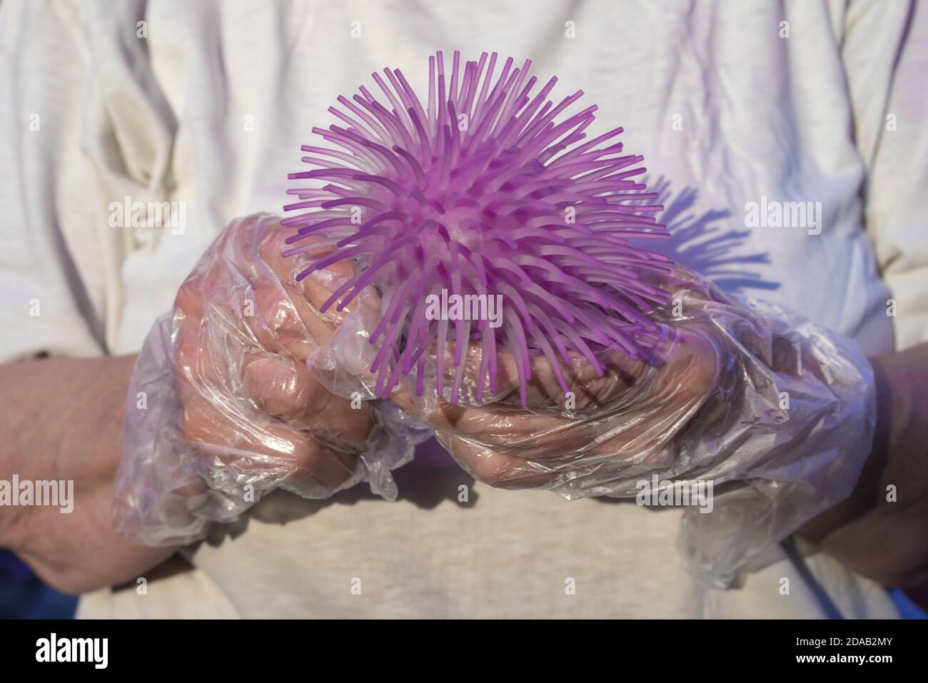 Protegido por guantes, las manos sostienen una pelota parece coronavirus de cerca. Foto de stock