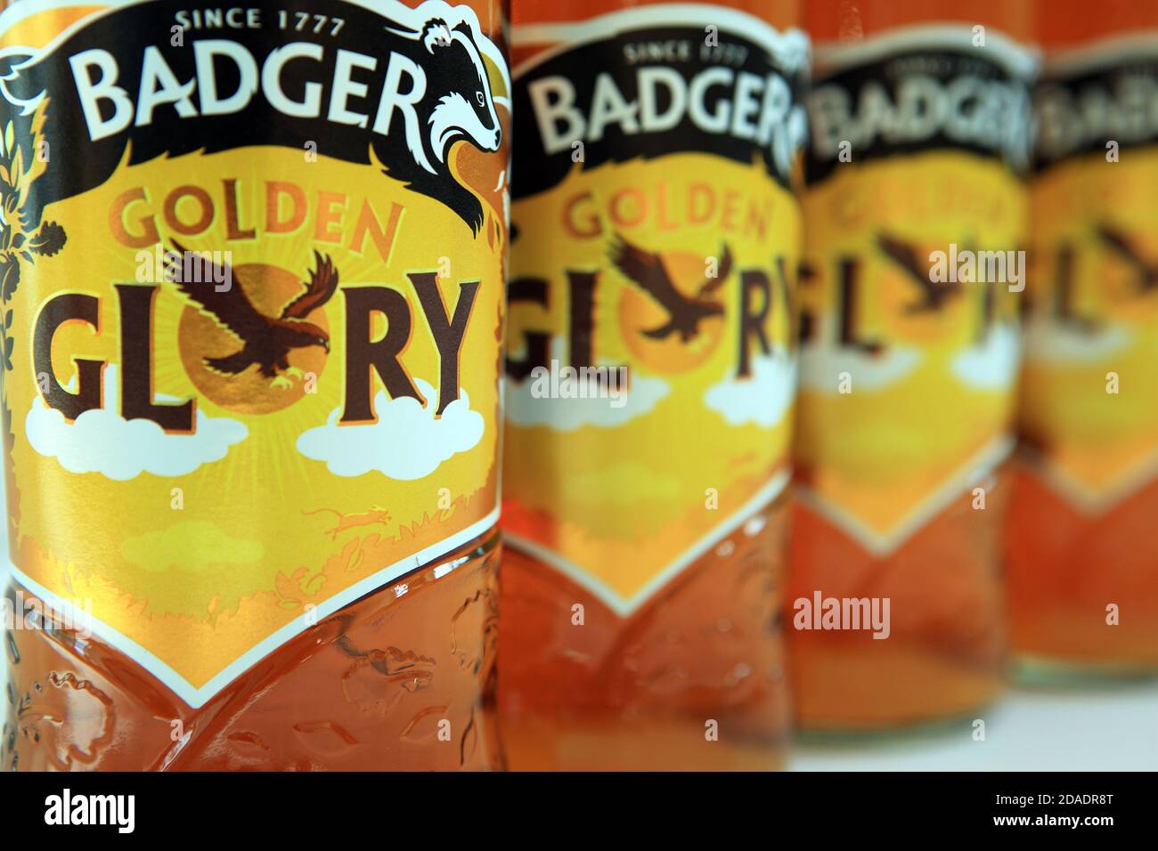 Botellas de cerveza dorada Badger Gloria Foto de stock
