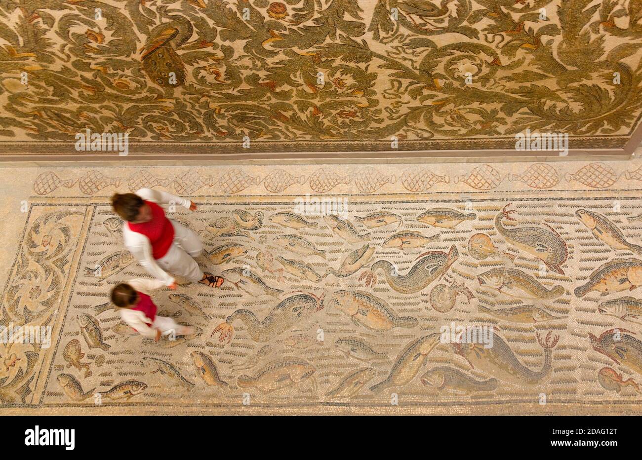 Dentro del Museo Nacional Bardo, piso y techo cubierto de mosaico, Túnez, Túnez Foto de stock
